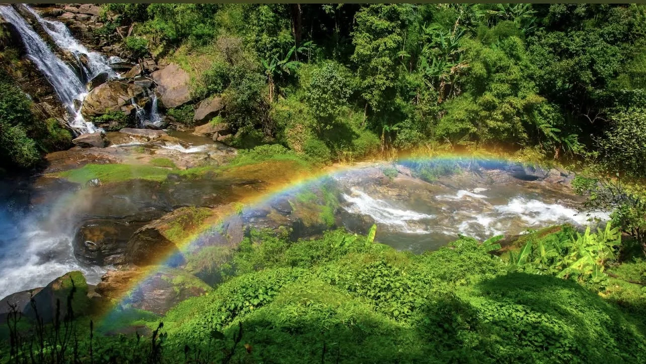 Excursion optionnelle : parc national de Doi Inthanon
